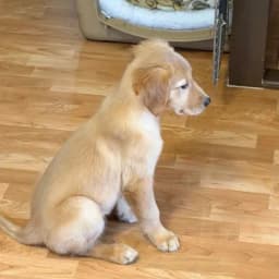 OTK Andrews O.'s profile photo