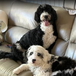 Kelly G.'s profile photo