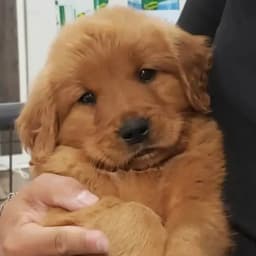 Bridget C.'s profile photo