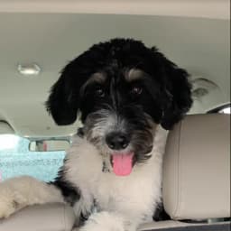 Julie L.'s profile photo