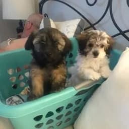 Rick & Helen J.'s profile photo