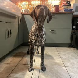 Cassy K.'s profile photo