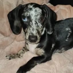 Reviewer O.'s profile photo