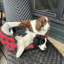 Julie S.'s profile photo