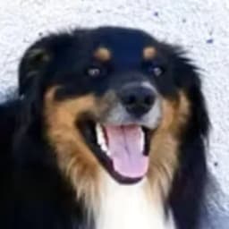 Randy E.'s profile photo