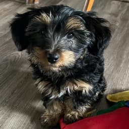 Sandra D.'s profile photo