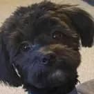 Cindy D.'s profile photo