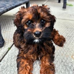 Winnipeg Supper Club's profile photo