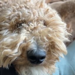 Amy D.'s profile photo