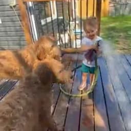 Carmen O.'s profile photo