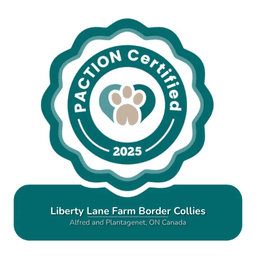 Canadian Border Collie Association