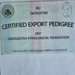 International Kennel Union