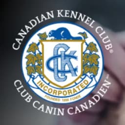 Canadian Kennel Club