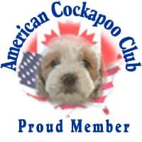 American Cockapoo Club