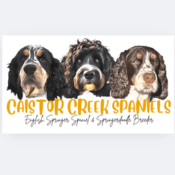 Caistor Creek Spaniels