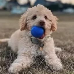 Sarah & Tyler V.'s profile photo