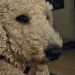 Jenna J.'s profile photo