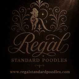 Regal Standard Poodles
