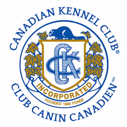 CKC