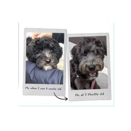 The Shebaz Family M.'s profile photo