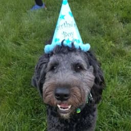 Carol F.'s profile photo