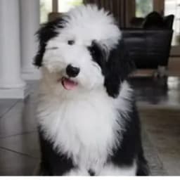 Mike & Penny P.'s profile photo