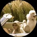 Jo-Ellen C.'s profile photo