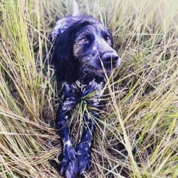 Rebecca D.'s profile photo