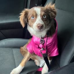 Baran T.'s profile photo