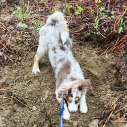 Wendy C.'s profile photo