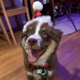 Lola B.'s profile photo