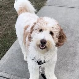 Sherri C.'s profile photo