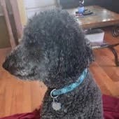 A B.'s profile photo