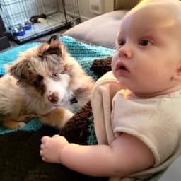 Lacey H.'s profile photo