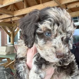 Vince T.'s profile photo