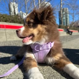 Jessica G.'s profile photo