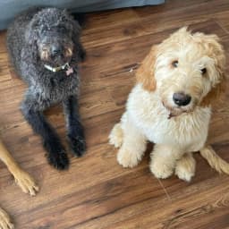 K G.'s profile photo