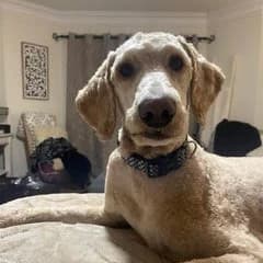 S R.'s profile photo