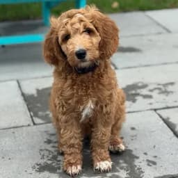 Michelle S.'s profile photo
