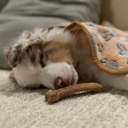 Norah W.'s profile photo