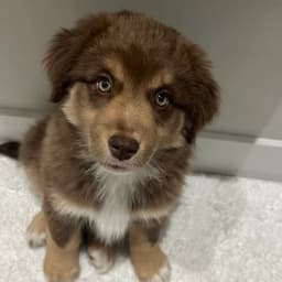 Scott D.'s profile photo