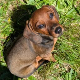 Rae M.'s profile photo