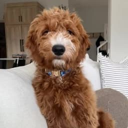 Rachel B.'s profile photo