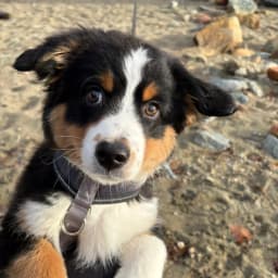 Jacob Z.'s profile photo