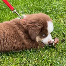 Harjot K.'s profile photo