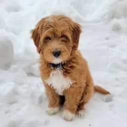 Kerri S.'s profile photo