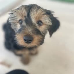 Pamela T.'s profile photo