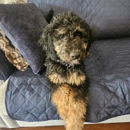 Chelsea F.'s profile photo