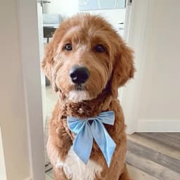 Tarah A.'s profile photo