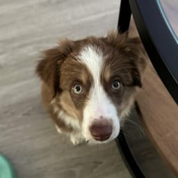 Thomas J.'s profile photo